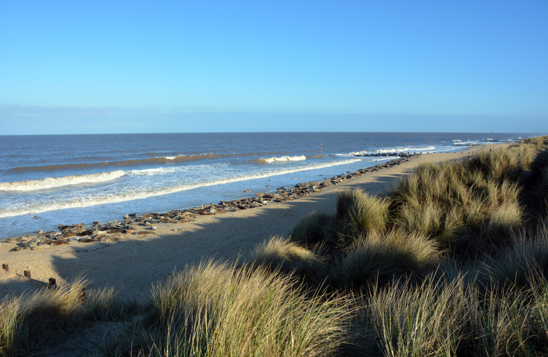 can you take dogs to horsey beach